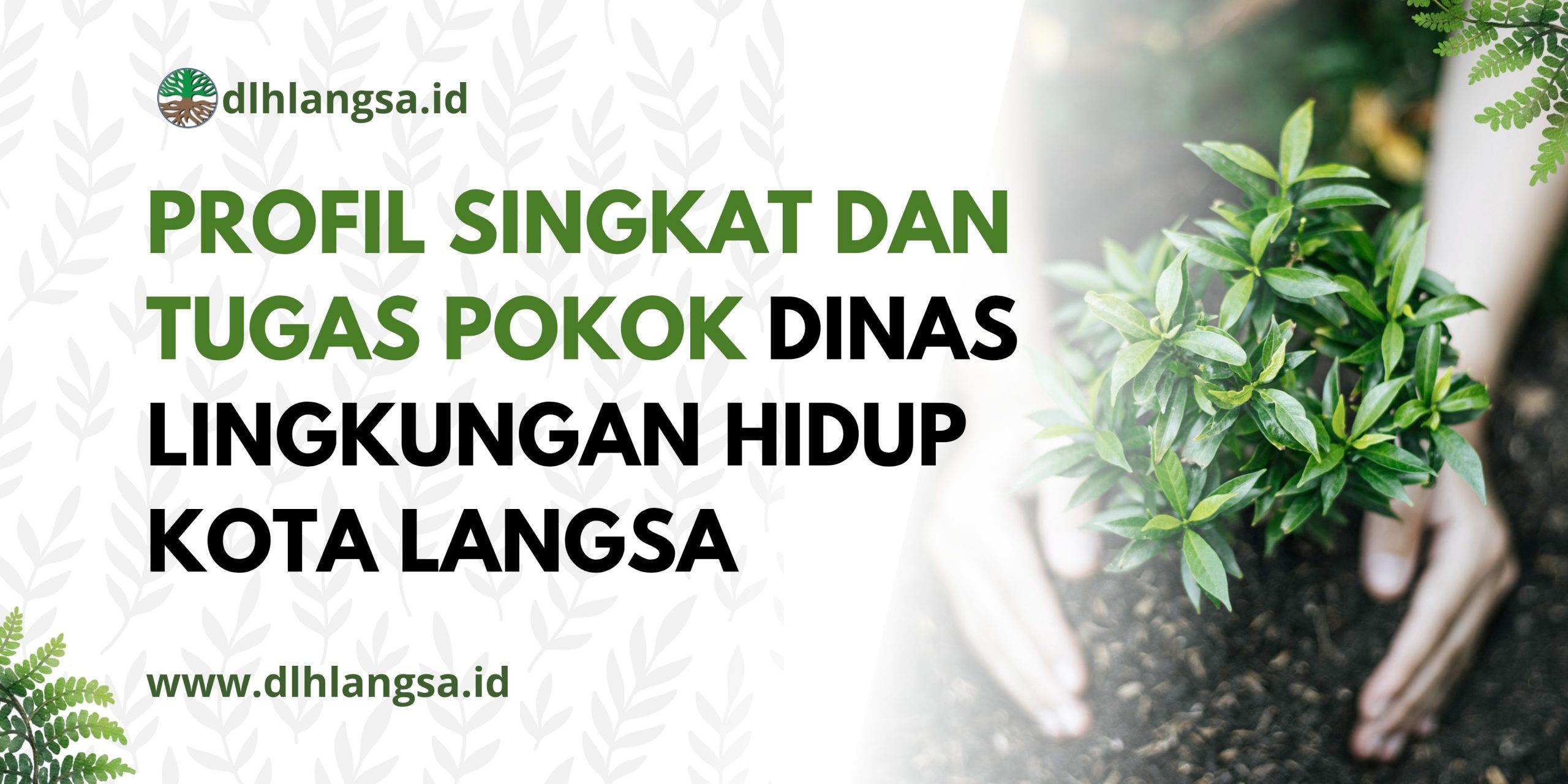 Dinas Lingkungan Hidup Kota Langsa