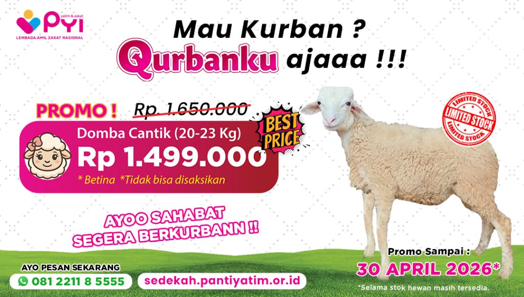 Update Harga Kambing & Sapi Kurban 2026