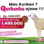 Update Harga Kambing & Sapi Kurban 2026